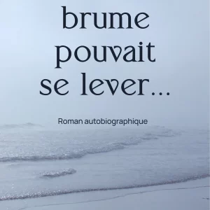 Si la brume pouvait se lever...