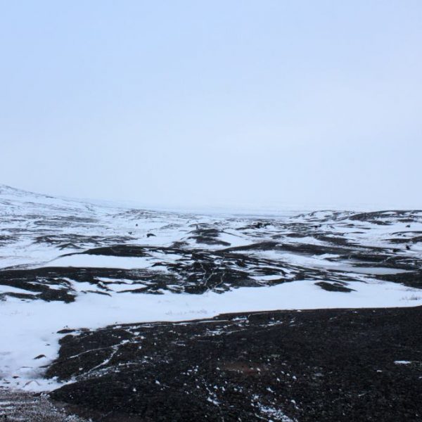 IMG_9686web
