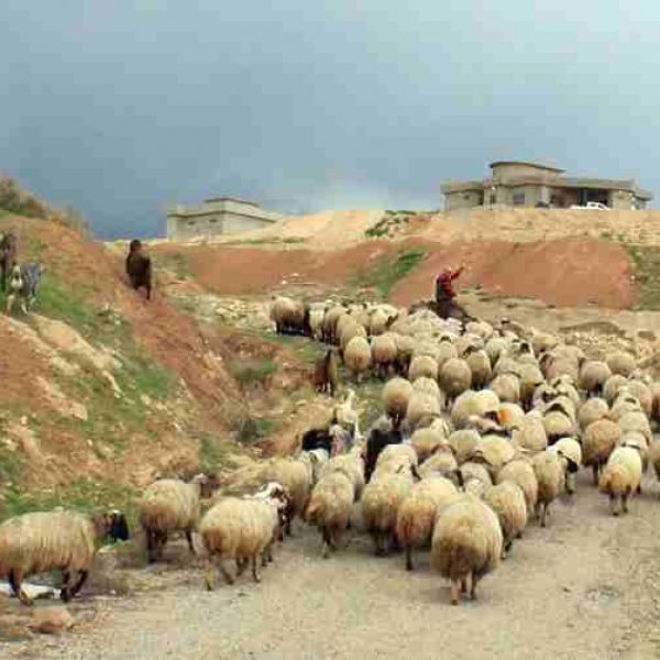 Quelque part entre Dohuk et Erbil