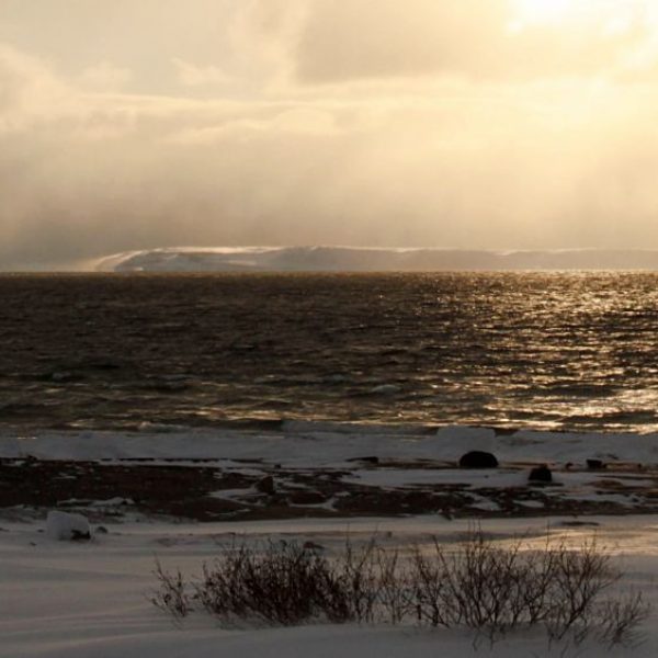 Tempête lointainewebb2